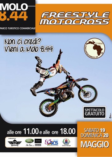 Freestyle a Molo 8.44: - 11giorni