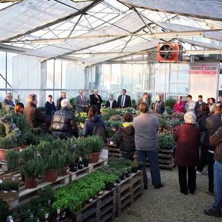 Albenga: "Aromi e Colori" vetrina floreale che vale 150 milioni di export