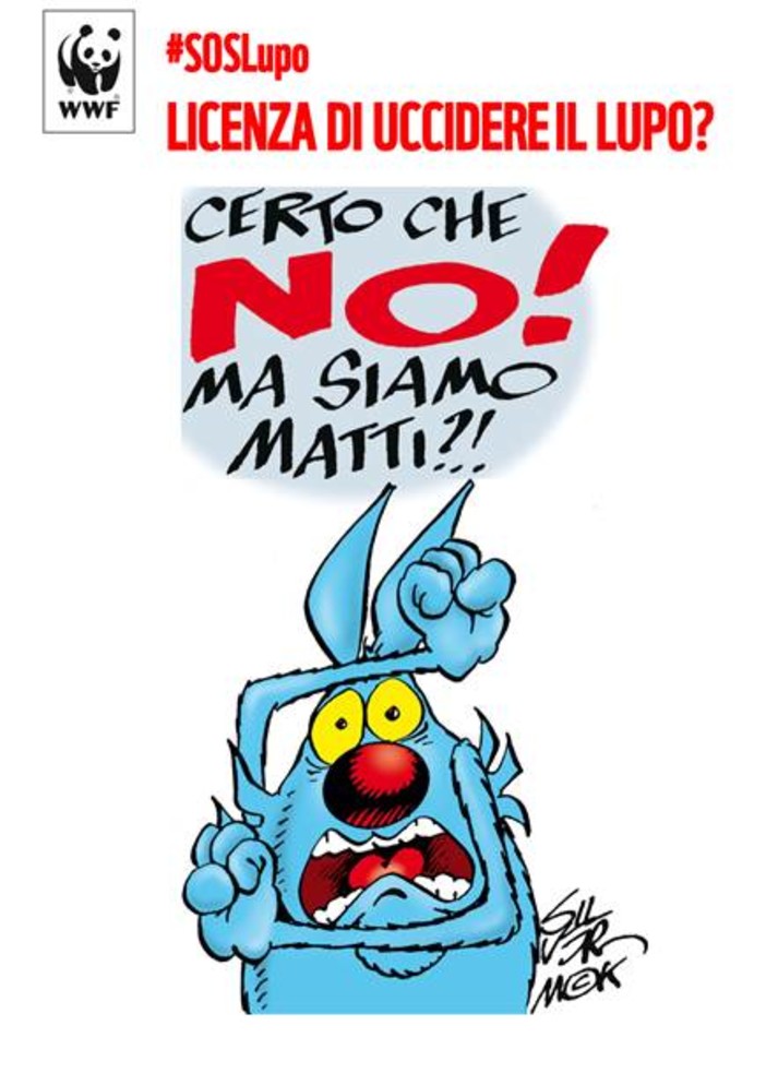 Appello del WWF ai presidenti delle Regioni: "Non lasciate ‘sparare’ al lupo" Appello del WWF ai presidenti delle Regioni: "Non lasciate ‘sparare’ al lupo"