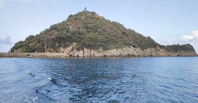 Albenga, porto rifugio della Gallinara, approvato il nuovo regolamento. Tomatis: "Un patrimonio da rendere fruibile" Albenga, porto rifugio della Gallinara, approvato il nuovo regolamento. Tomatis: "Un patrimonio da rendere fruibile"