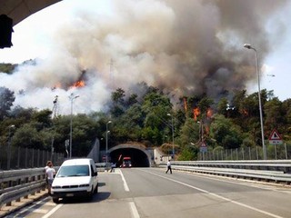 Foto tratte dal gruppo Facebook "Una passeggiata per Savona" (P. Acquati)