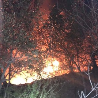 Foto dal gruppo facebook "Toirano"