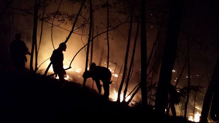 Incendio boschivo a Magliolo: situazione sotto controllo (FOTO e VIDEO) Incendio boschivo a Magliolo: situazione sotto controllo (FOTO e VIDEO)