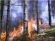 Savona, rafforzate le misure di prevenzione sul territorio contro gli incendi boschivi