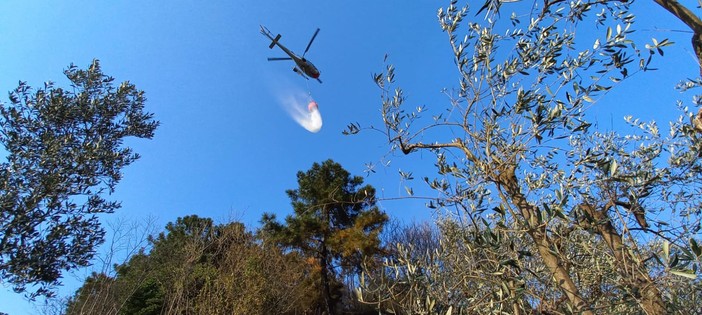 Foto di archivio Foto di archivio