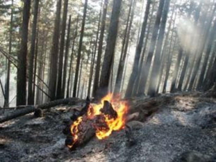 Tovo: indagini a tutto campo per gli incendi di bosco