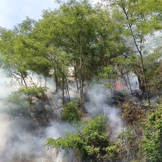 Stella, incendio nei boschi vicino alla Madonna del Salto: scatta l'intervento dei Vigili del fuoco