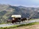 "Il Viaggio dei Cartunè" attraverso le vie del sale arriva in Liguria "Il Viaggio dei Cartunè" attraverso le vie del sale arriva in Liguria