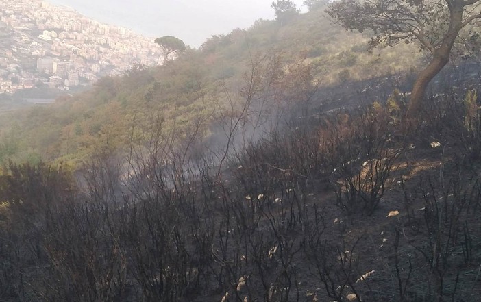 Ceriale, casolare trasformato in dormitorio abusivo a fuoco in via degli Orti Ceriale, casolare trasformato in dormitorio abusivo a fuoco in via degli Orti