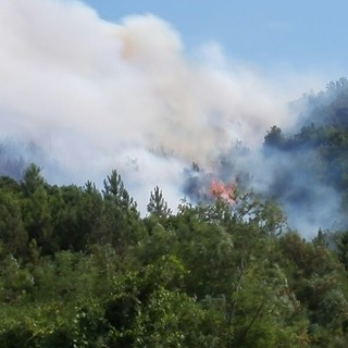 Incendio sulle alture di Quiliano sotto controllo: in corso le operazioni di bonifica, interviene l'elicottero