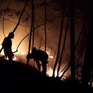Incendio boschivo a Magliolo: situazione sotto controllo (FOTO e VIDEO)