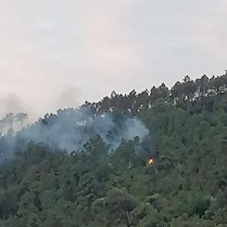 Incendio boschivo a Cisano: prosegue il presidio, nuovi focolai domati (FOTO)