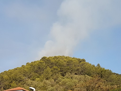 Ripartenze continue nell'incendio a Stellanello, continua il lavoro di Vigili del Fuoco e volontari Ripartenze continue nell'incendio a Stellanello, continua il lavoro di Vigili del Fuoco e volontari