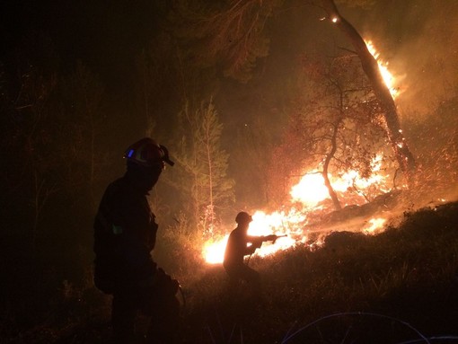 Emanato lo stato di grave pericolosità incendi boschivi: vietato accendere qualsiasi tipo di fuoco