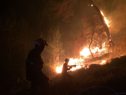 Emanato lo stato di grave pericolosità incendi boschivi: vietato accendere qualsiasi tipo di fuoco Emanato lo stato di grave pericolosità incendi boschivi: vietato accendere qualsiasi tipo di fuoco
