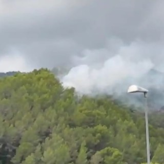 Incendio ad Andora: Vigili del fuoco e volontari A.I.B. in azione