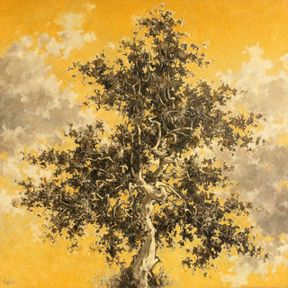 Savona: si inaugura la personale di Oreste Edgardo Rossi "Incontri"