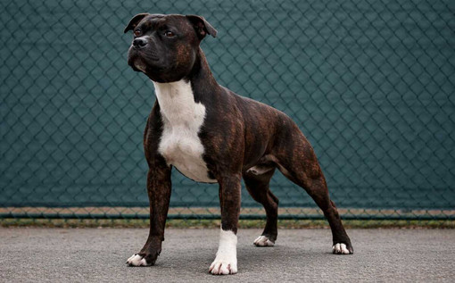 Foto di repertorio Foto di repertorio