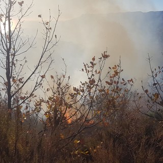 Spotorno, brucia il bosco in località Baxie, interviene anche l’elicottero