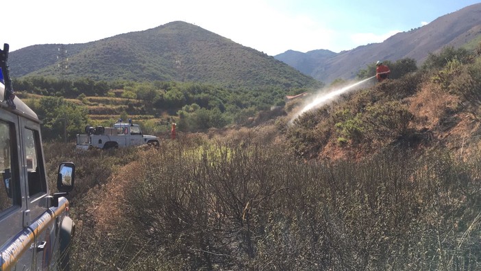 Peagna, incendio sterpaglie: intervento dei vigili del fuoco Peagna, incendio sterpaglie: intervento dei vigili del fuoco