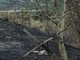 Quiliano, incendio a Cadibona: interessata una parte di zona boschiva, fiamme vicino alle abitazioni ma senza conseguenze Quiliano, incendio a Cadibona: interessata una parte di zona boschiva, fiamme vicino alle abitazioni ma senza conseguenze