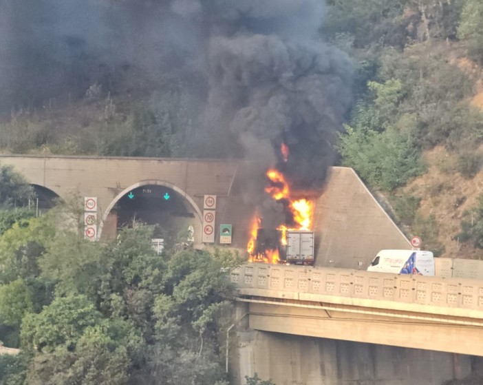 Foto e video di Massimo Pacini Foto e video di Massimo Pacini