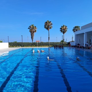 Savona, per la gestione della piscina Zanelli è corsa due tra Rari Nantes e Amatori Nuoto Savona, per la gestione della piscina Zanelli è corsa due tra Rari Nantes e Amatori Nuoto