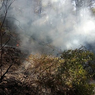 Stellanello, l'incendio di Bossaneto si può ritenere tecnicamente spento