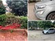 Calice, sbaglia manovra: un'auto distrugge la panchina rossa e la siepe di piazza Massa Calice, sbaglia manovra: un'auto distrugge la panchina rossa e la siepe di piazza Massa