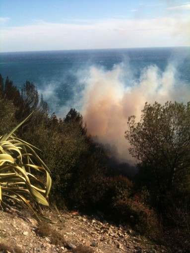 Andora, incendio in regione Rollo: il vento ostacola le operazioni di spegnimento (FOTO e VIDEO) Andora, incendio in regione Rollo: il vento ostacola le operazioni di spegnimento (FOTO e VIDEO)