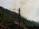 Stellanello, spento l'incendio boschivo in località Bossaneto: continua il presidio della zona