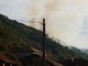 Stellanello, spento l'incendio boschivo in località Bossaneto: continua il presidio della zona Stellanello, spento l'incendio boschivo in località Bossaneto: continua il presidio della zona