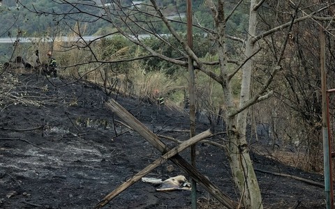 Quiliano, incendio a Cadibona: interessata una parte di zona boschiva, fiamme vicino alle abitazioni ma senza conseguenze