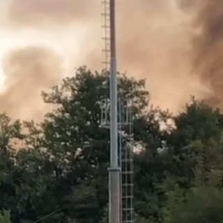 Ceriale, incendio boschivo nei pressi del campo sportivo: intervento dei vigili del fuoco (VIDEO)