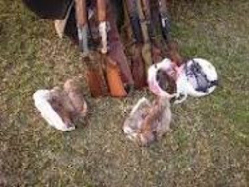 Coldiretti Savona sulla sentenza Tar caccia in deroga allo storno: importante per noi Coldiretti Savona sulla sentenza Tar caccia in deroga allo storno: importante per noi