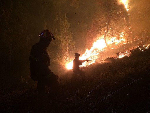 Savona, incendio boschivo in località Ciantagalletto