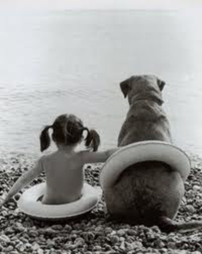 Estate da cani Estate da cani