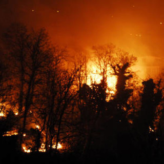 Liguria nella morsa del fuoco, Alessandro Piana (Lega Nord): “Roghi appaiono di origine dolosa. Vogliamo una taglia sui piromani"