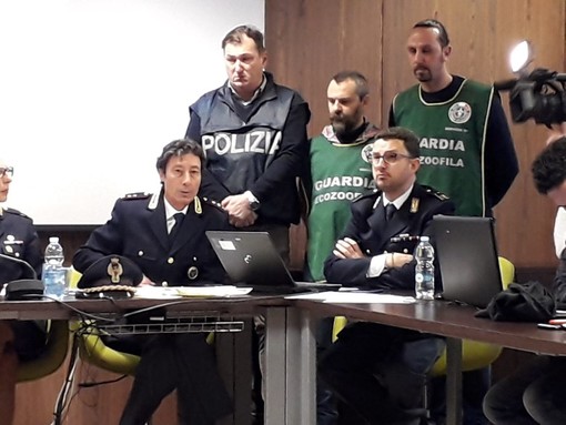 Foto comunicato stampa Foto comunicato stampa