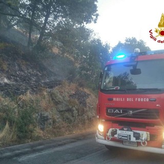 Incendi boschivi, Castellazzi: "Occorre puntare sulla prevenzione"