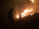 Incendi boschivi, da sabato 24 luglio scatta lo stato di grave pericolosità