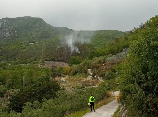 Incendio boschivo a Loano, intervengono i Vigili del fuoco