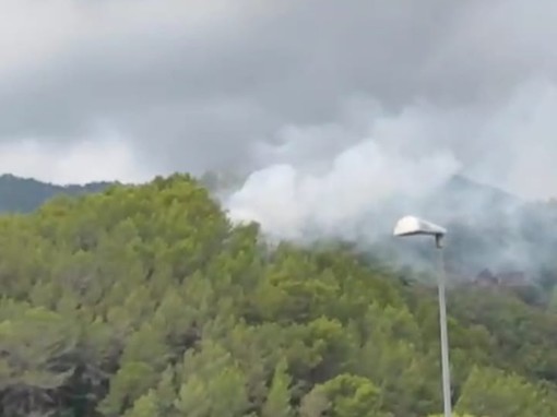 Incendio ad Andora: Vigili del fuoco e volontari A.I.B. in azione Incendio ad Andora: Vigili del fuoco e volontari A.I.B. in azione