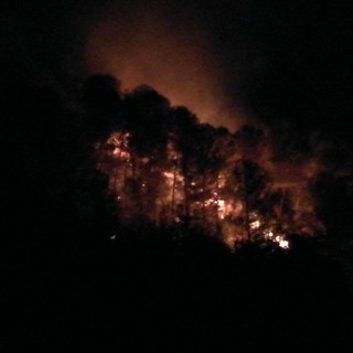 Stellanello, nuovo incendio boschivo: in arrivo i mezzi aerei (FOTO)