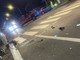 Video tra le risate dopo l'incidente mortale postati sui social, lo sdegno e la rabbia: "Proviamo schifo, è aberrante" Video tra le risate dopo l'incidente mortale postati sui social, lo sdegno e la rabbia: "Proviamo schifo, è aberrante"