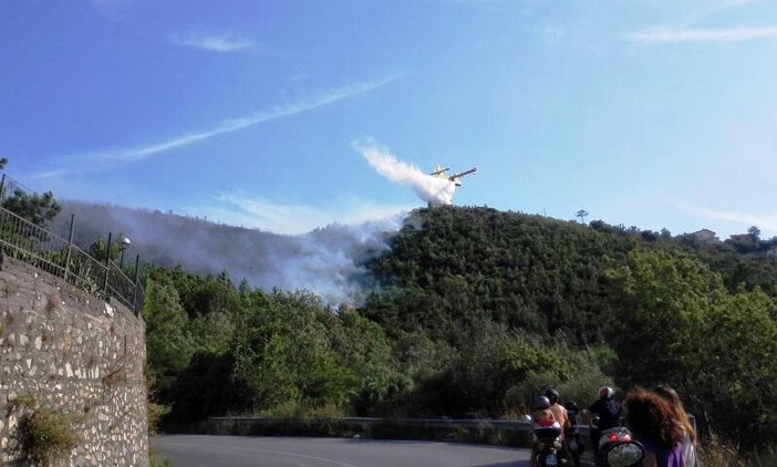 Incendio nell'entroterra di Noli: origine dolosa del rogo