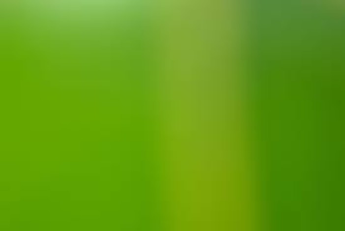 Alassio, approvato il primo piano triennale di "acquisti verdi"