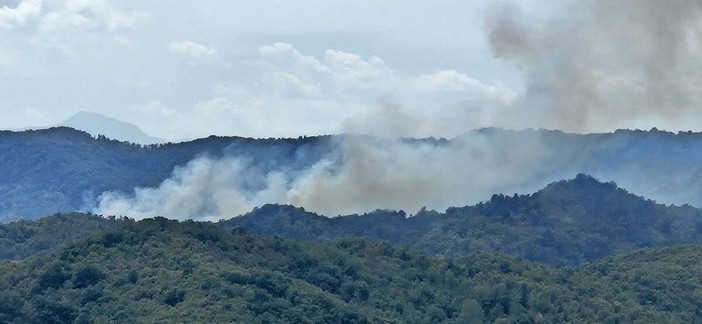 Cairo, incendio boschivo in località Vignaroli: intervento dei vigili del fuoco Cairo, incendio boschivo in località Vignaroli: intervento dei vigili del fuoco