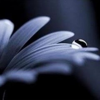 Lutto alla Croce Rossa di Vado Ligure: è mancata la volontaria Albertina Scarsi