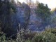 Divampa incendio a Vado Ligure in località Bossarino Divampa incendio a Vado Ligure in località Bossarino